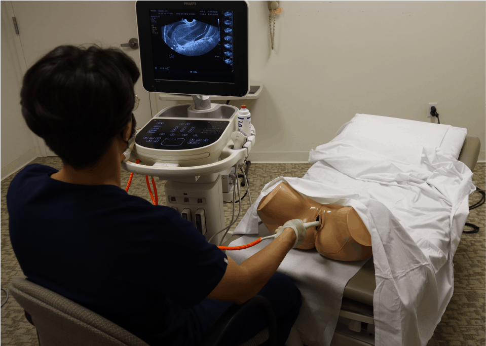 Gynaecological Pelvic Ultrasound